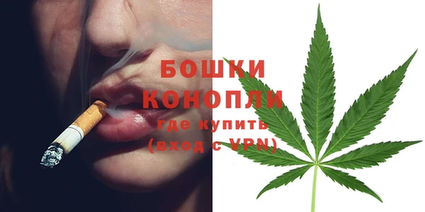 гашик Анива