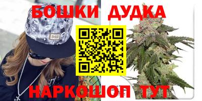гидропоника Камышлов