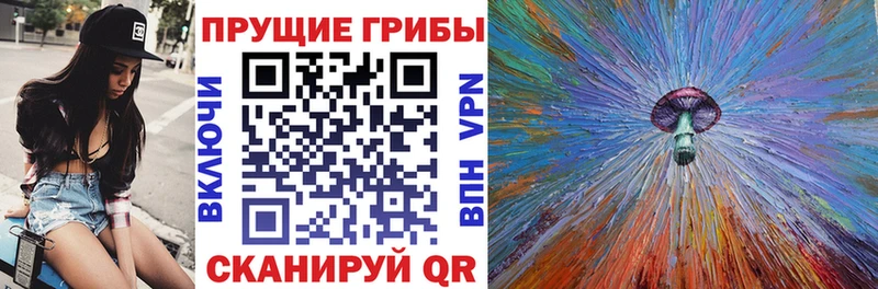 KRAKEN как войти  Миллерово  shop наркотические препараты  Псилоцибиновые грибы ЛСД 
