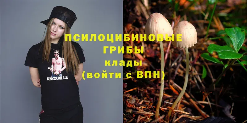 Галлюциногенные грибы MAGIC MUSHROOMS  Миллерово 