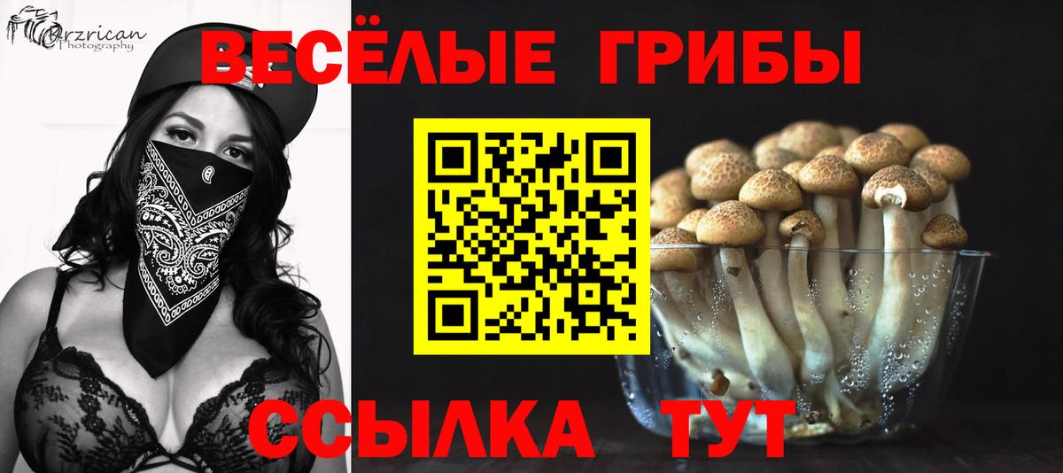 купить наркоту  Галлюциногенные грибы Cubensis  Вход с VPN  Миллерово  Галлюциногенные грибы Magic Shrooms 