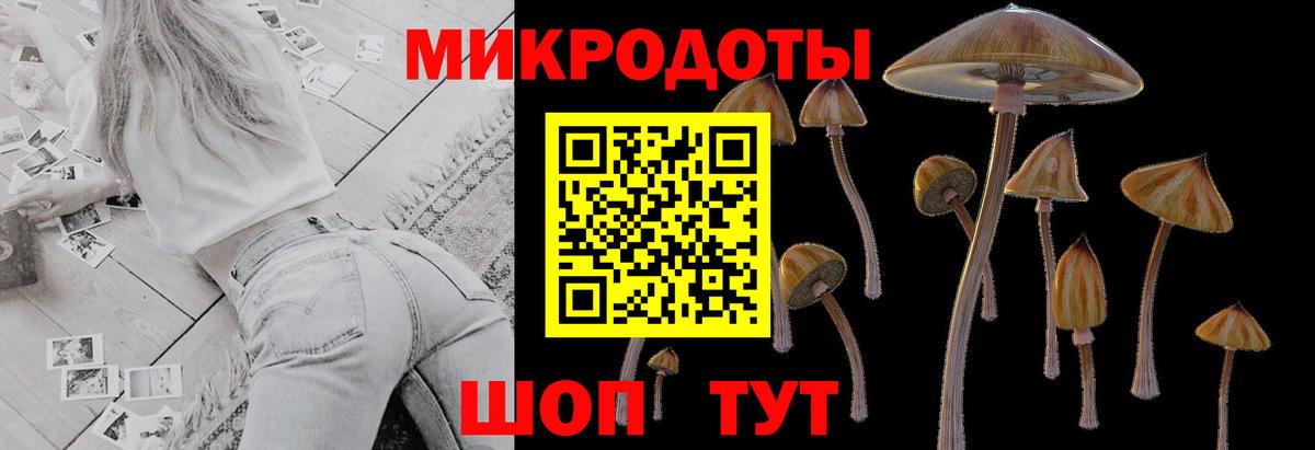 Псилоцибиновые грибы Magic Shrooms Миллерово